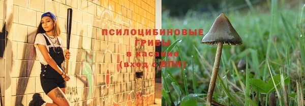 тгк Армянск